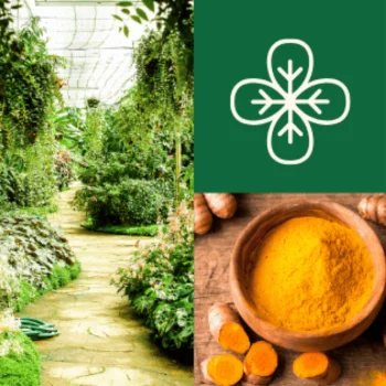 What Are Support Ingredients in Fat Burners