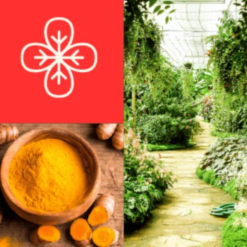 Top Fat Burner Supplements for Men and Women in 2025